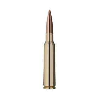RWS Target Elite Plus 6,5x55 143grs/9,3g Matchpatron 143grs/9,3g