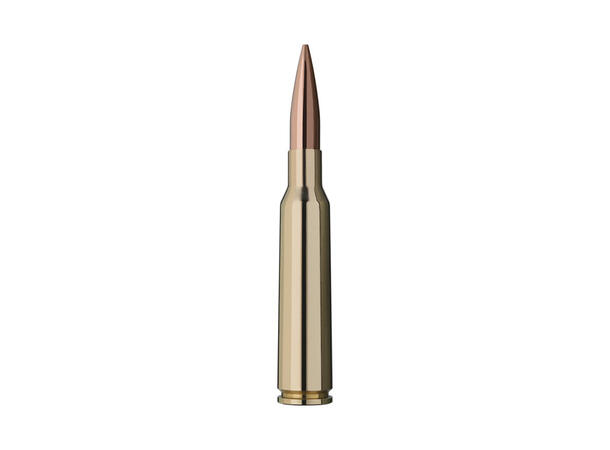 RWS Target Elite Plus 6,5x55 143grs/9,3g Matchpatron 143grs/9,3g 