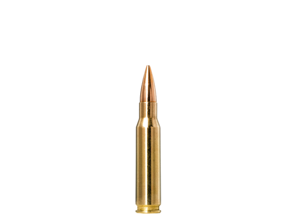 Norma Golden Target 308 Win 155gr/10,0g Patroner, kulevekt 10,0g / 155 gr 