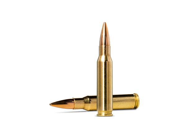 Norma Golden Target 308 Win 168gr/10,9g Patroner, kulevekt 10,9g / 168 gr 