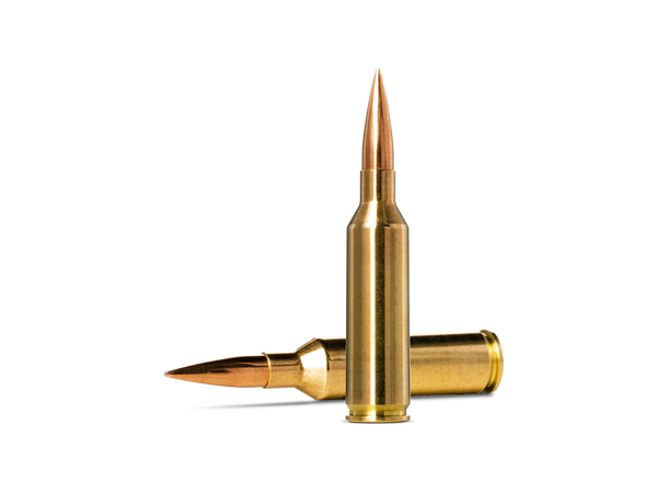 Norma Golden Target 6,5 PRC 143gr/9,27g Patroner, kulevekt 9,27g / 143 gr 