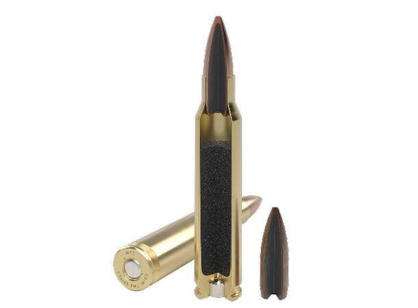 MFS FMJ .223 REM 3,6 g / 55 gr For trening og konkurranse 