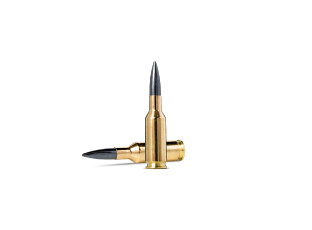 Norma 6mm BR Diamond Line 6,8 g/105grs Patroner 