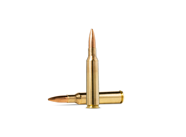 Norma Rekrutt patroner 6,5 100gr / 6,5g Patroner 